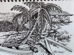 Martins Bay-Barbados Sketch