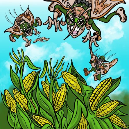 Attack of the Corn-Copyright Bruce Outridge Productions